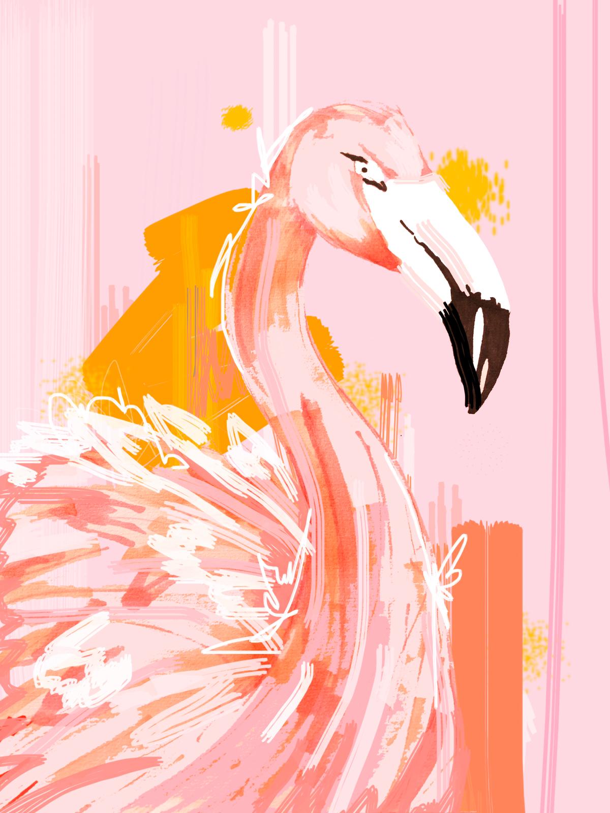 flamingo-prnt